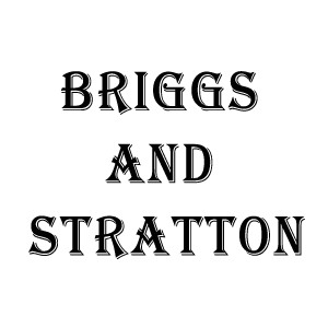 Briggs and Stratton adaptor, bayonet, connector, fitting