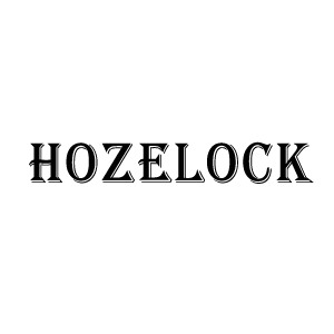 Hozelock pressure washer adaptor, bayonet, connector, fitting