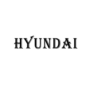 Hyundai pressure washer adaptor, bayonet, connector, fitting
