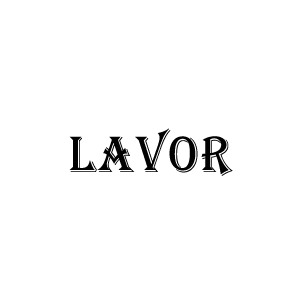 Lavor pressure washer adaptor, bayonet, connector, fitting