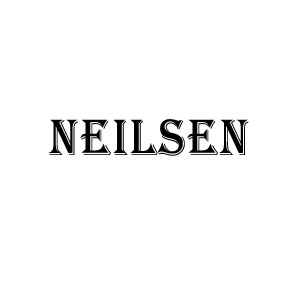 Neilsen pressure washer adaptor, bayonet, connector, fitting