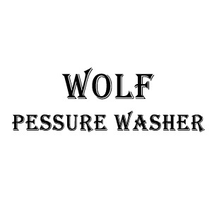 Wolf pressure washer adaptor, bayonet, connector, fitting