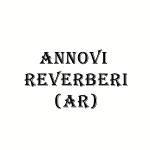 annovi reverberi pressure washers