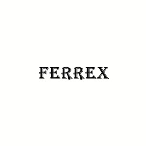 ferrex pressure washer