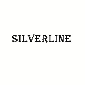 silverline pressure washers
