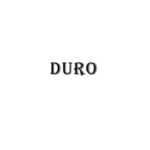 Duro Pressure Washer
